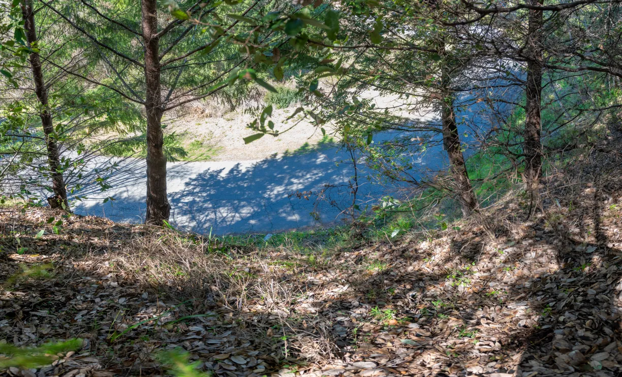 Northern California Real Estate | View Wolverine Way | Listing