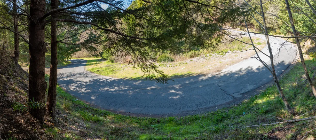Northern California Real Estate | View Wolverine Way