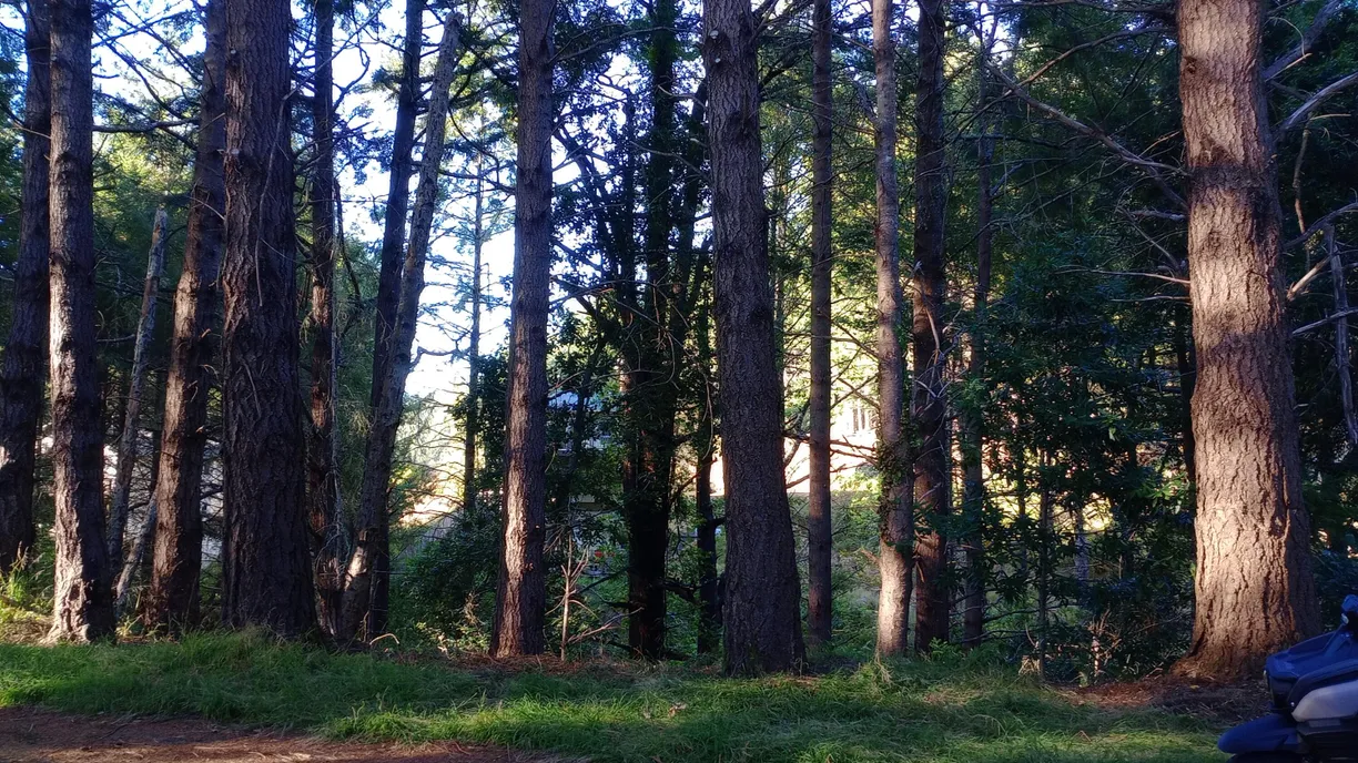 Northern California Real Estate | View Spring Road