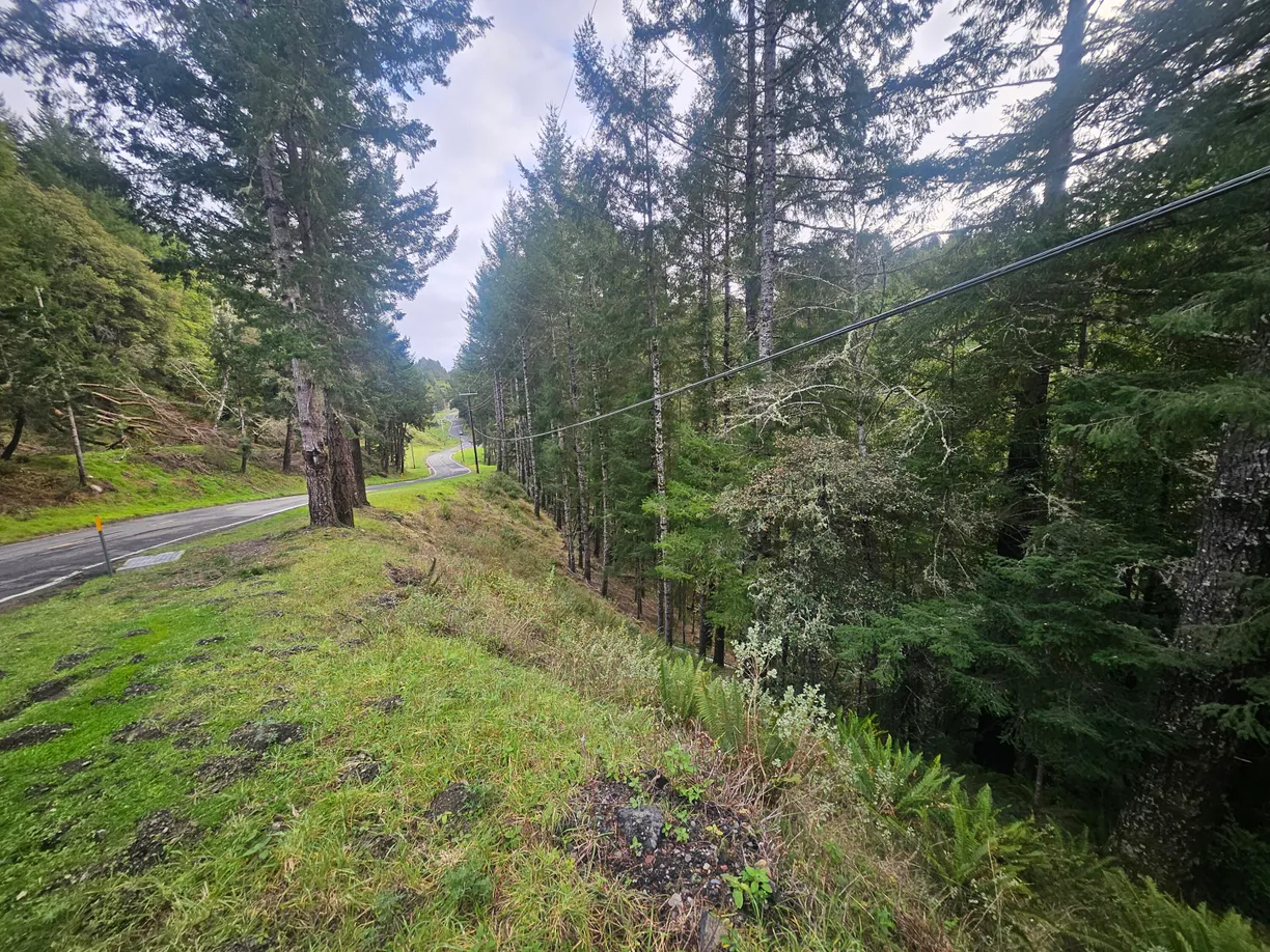 Northern California Real Estate | View Shelter Cove Road | Listing