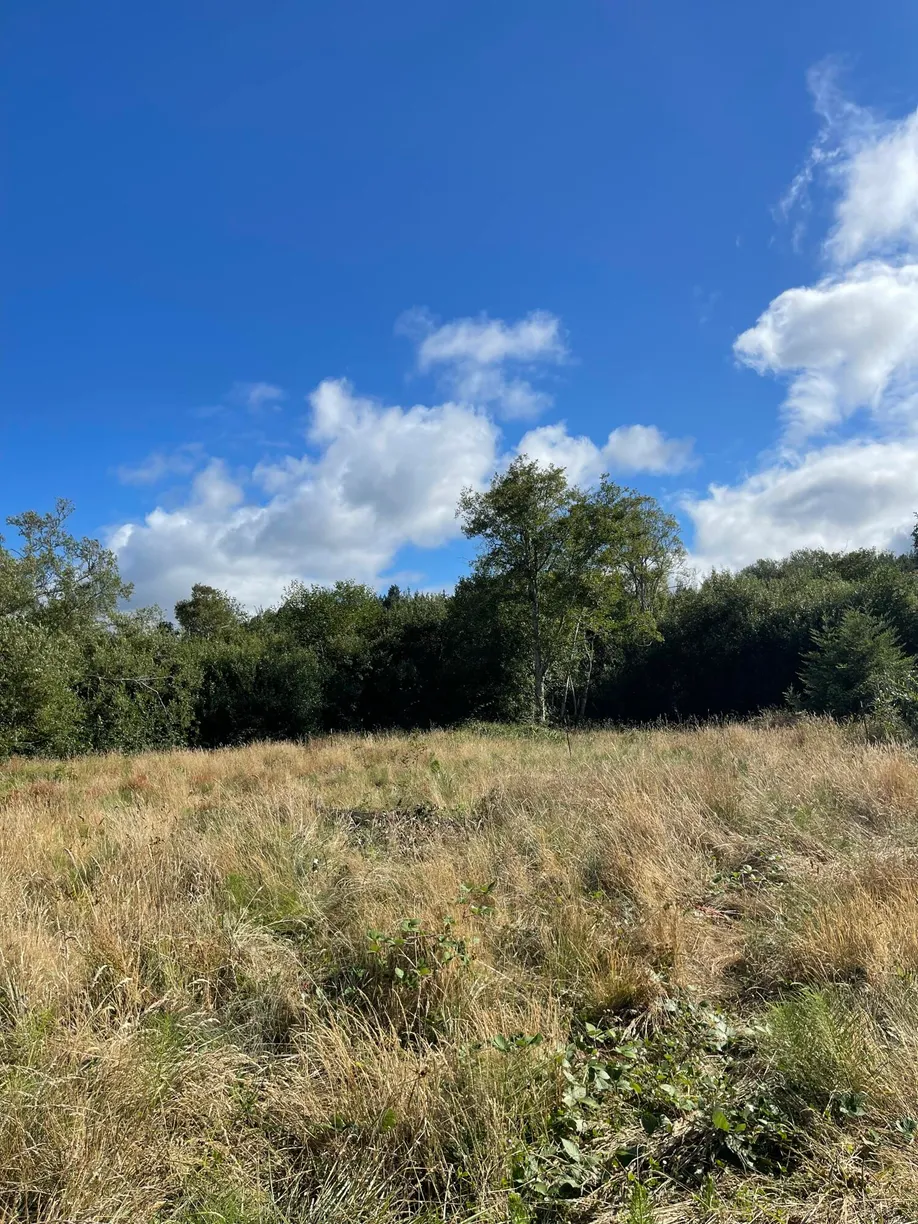 Northern California Real Estate | View Freshwater Road | Listing