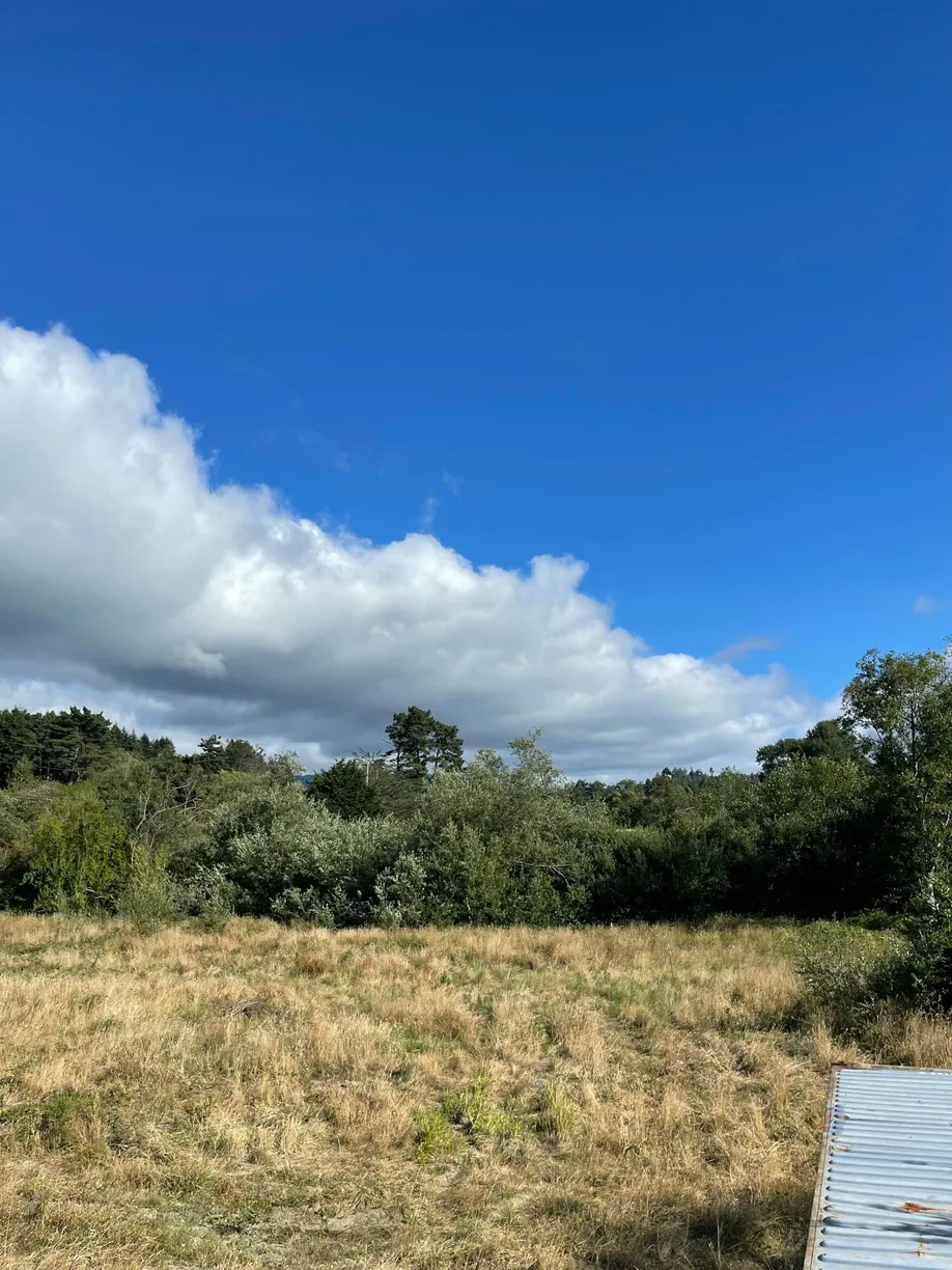 Northern California Real Estate | View Freshwater Road