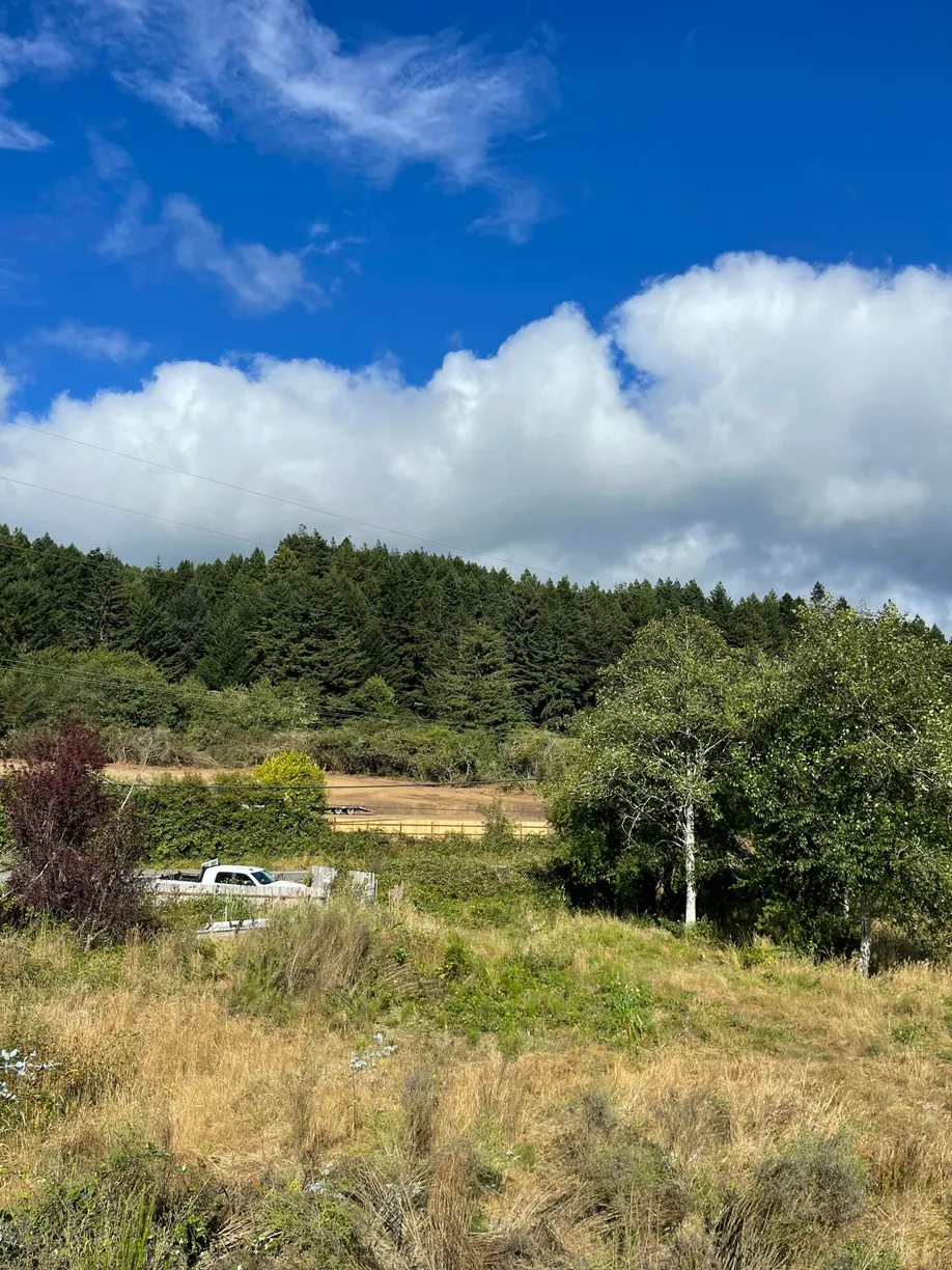 Northern California Real Estate | View Freshwater Road | Listing