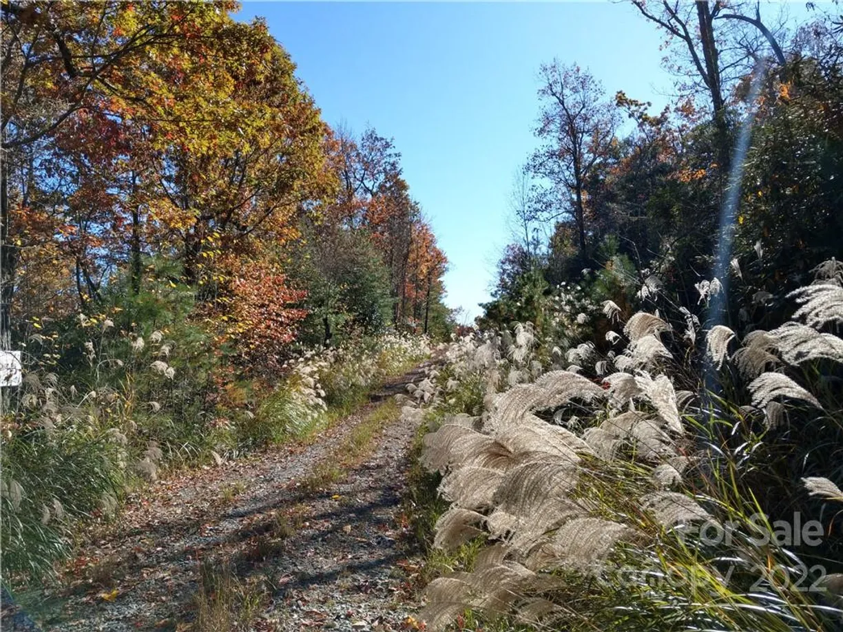 Charlotte Real Estate | View 000 Dogwood Lane, E1 | Listing