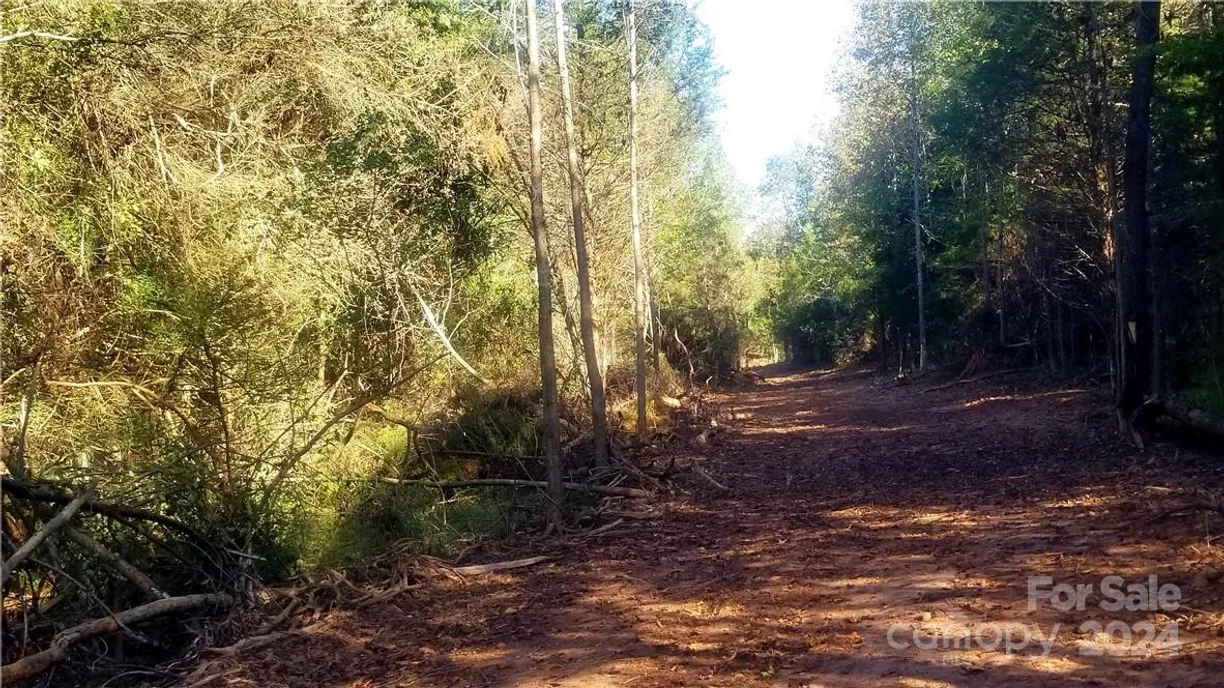 Charlotte Real Estate | View 0000 Kings Mountain Highway