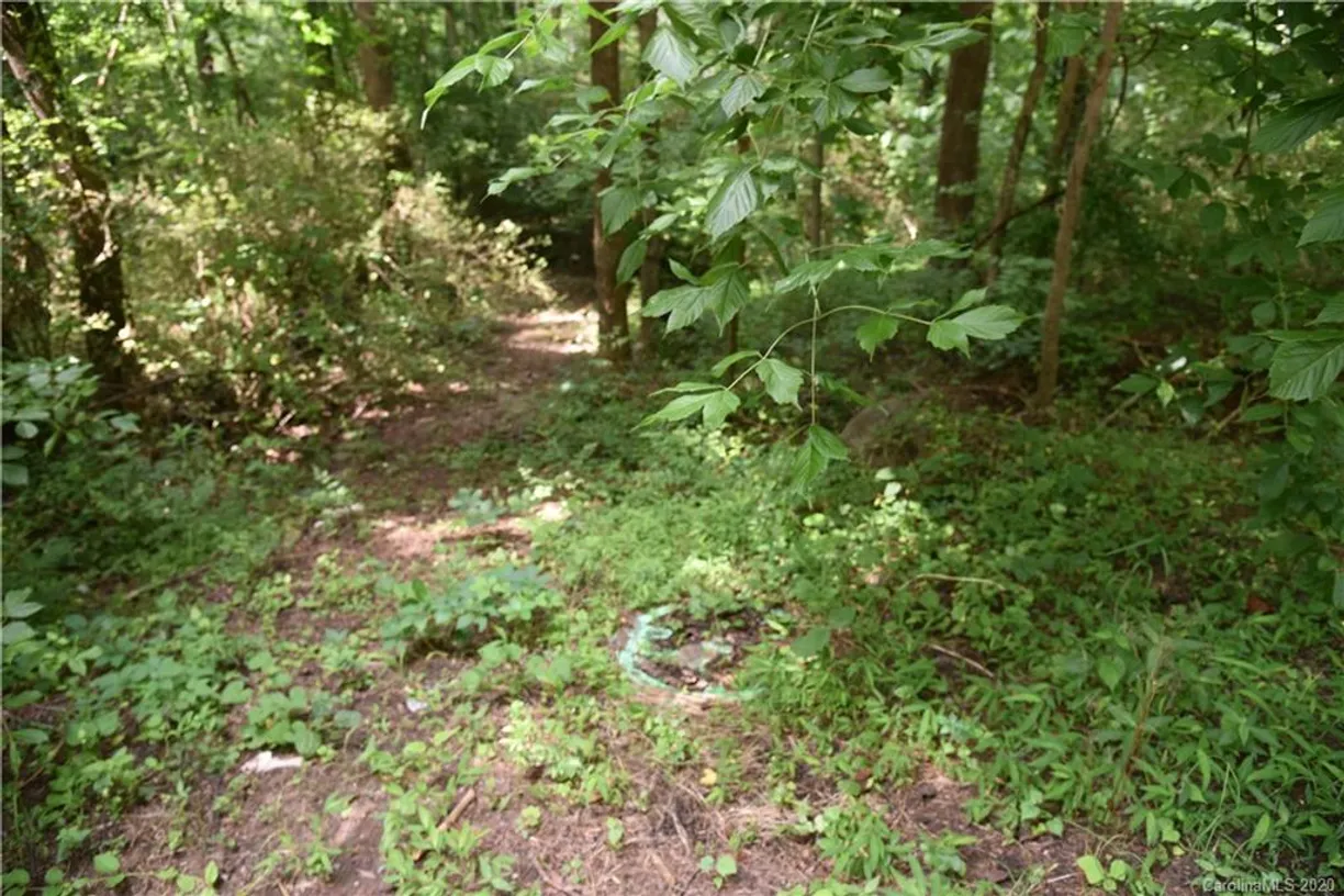 Charlotte Real Estate | View 3944 Wade E Morgan Road, 56