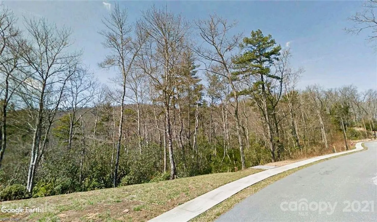 Charlotte Real Estate | View tbd Springhouse Trail, 10