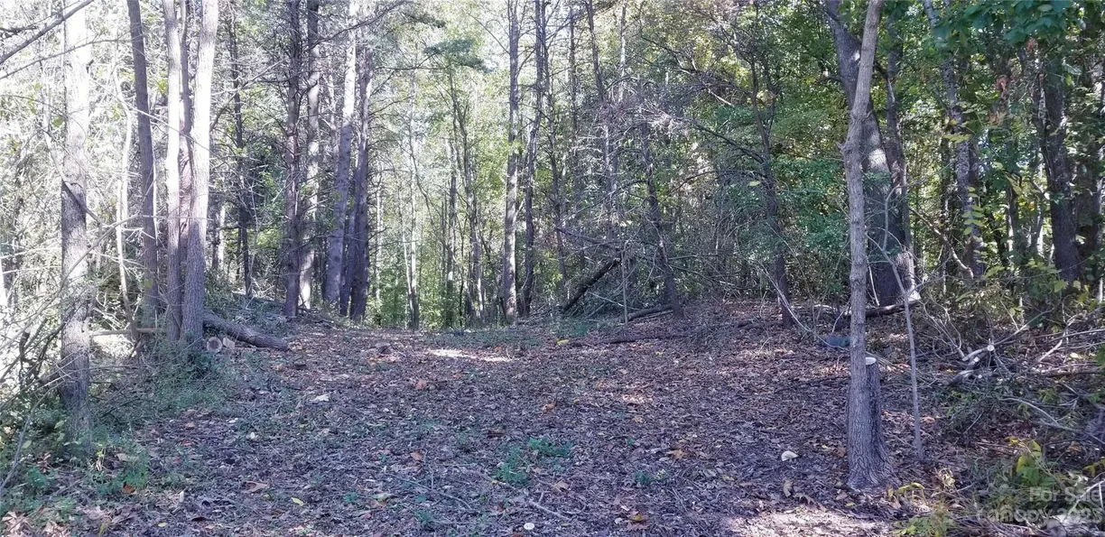 Charlotte Real Estate | View 0000 Edgewood Road