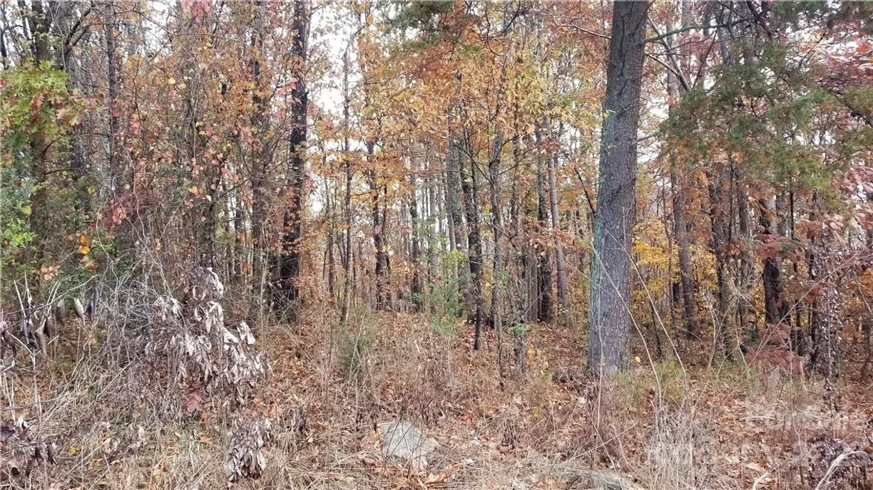 Charlotte Real Estate | View 0000 Edgewood Road | Listing