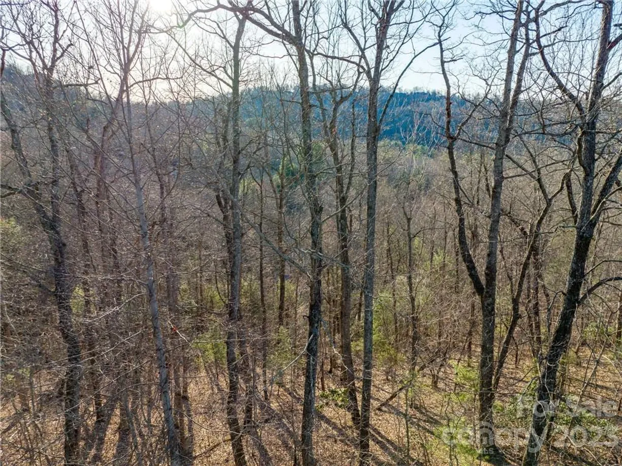Charlotte Real Estate | View lot 395 Roaring Fork Lane