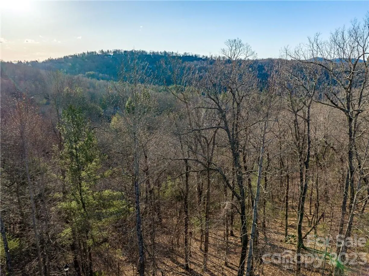 Charlotte Real Estate | View lot 395 Roaring Fork Lane | Listing