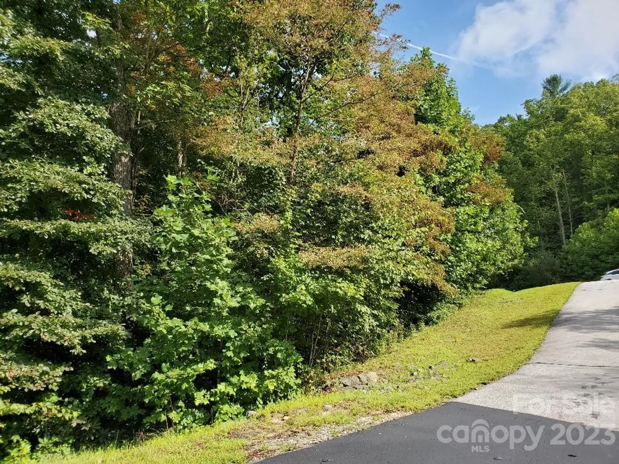 Charlotte Real Estate | View LOT 37 Mountain Morning Lane | Listing