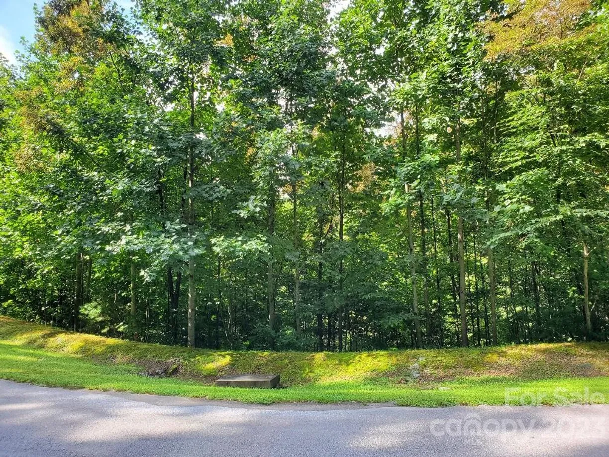 Charlotte Real Estate | View LOT 37 Mountain Morning Lane