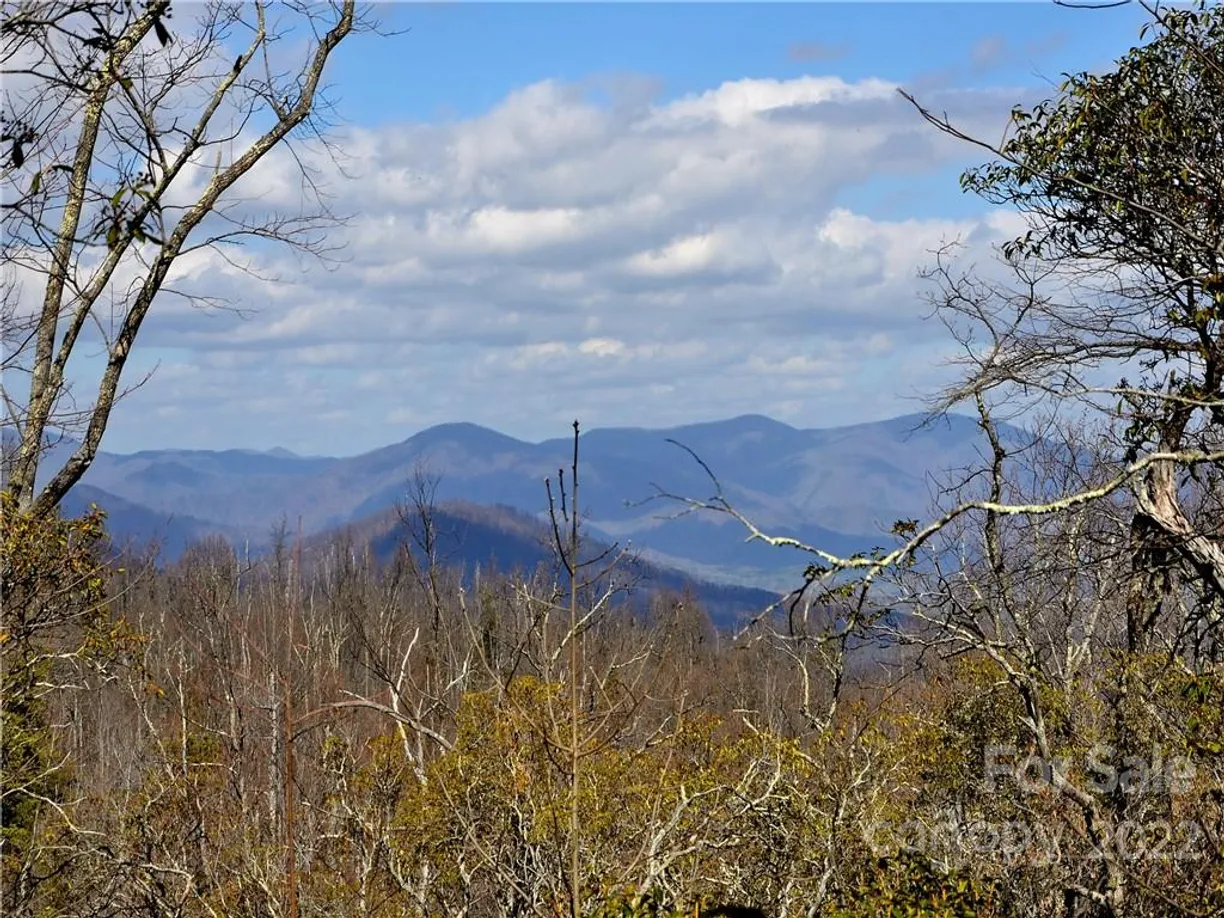 Charlotte Real Estate | View +/- 150 Acres Moondance Trail | Listing