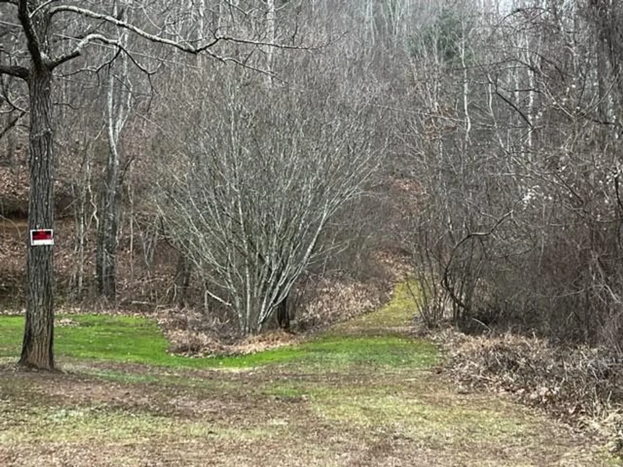 Charlotte Real Estate | View 15 Silver Fir Road