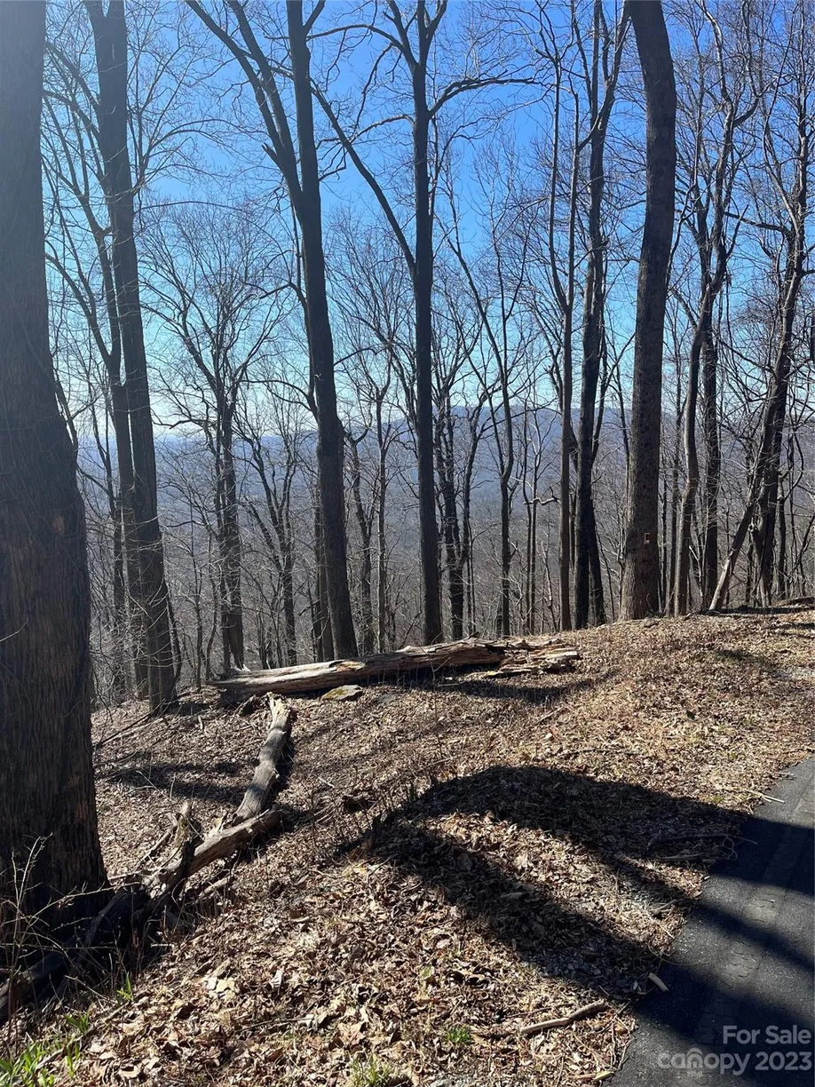 Charlotte Real Estate | View 999 Skyuka Mountain Road, Portion of Lot 9