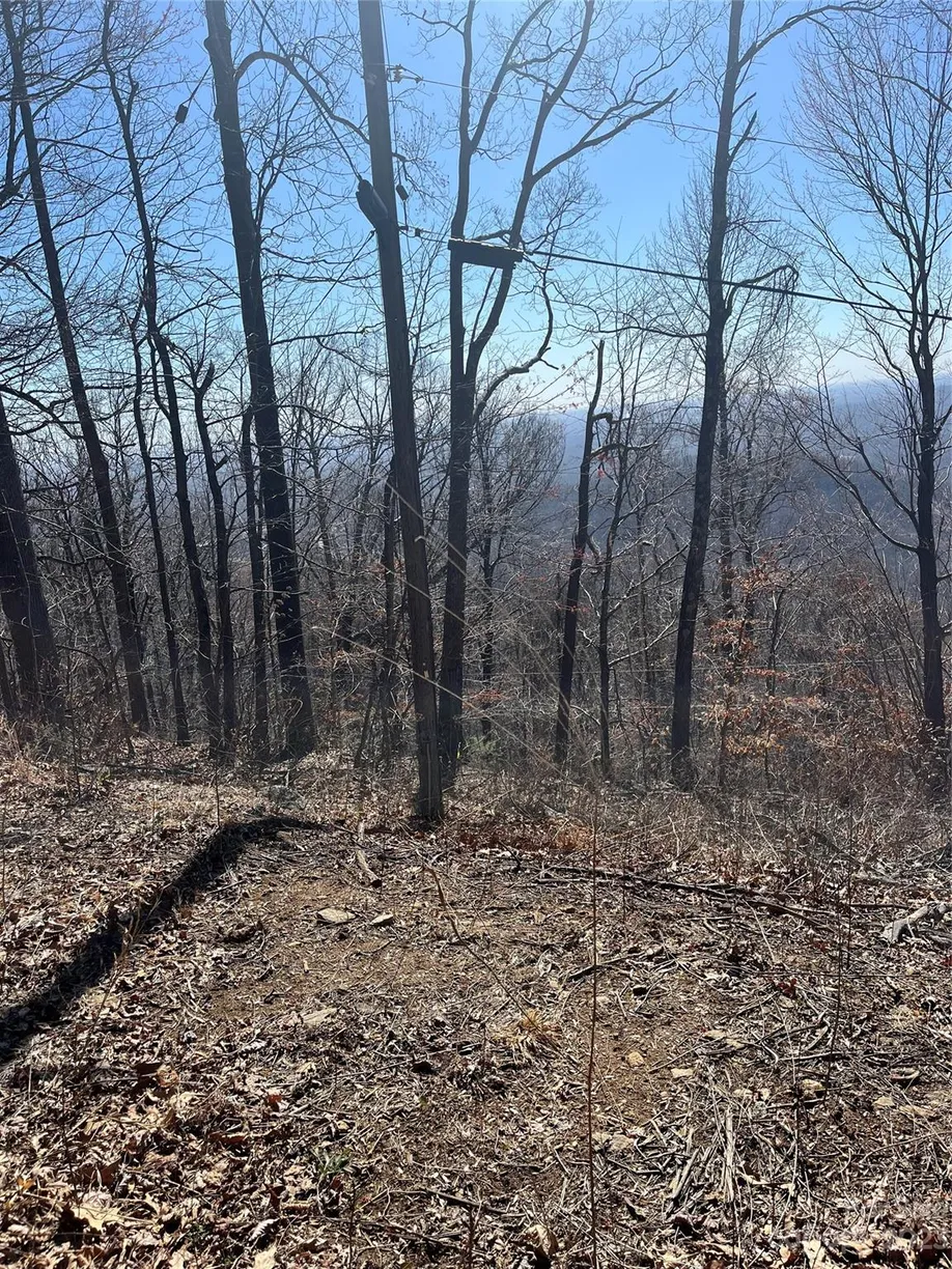 Charlotte Real Estate | View 999 Skyuka Mountain Road, Portion of Lot 9 | Listing
