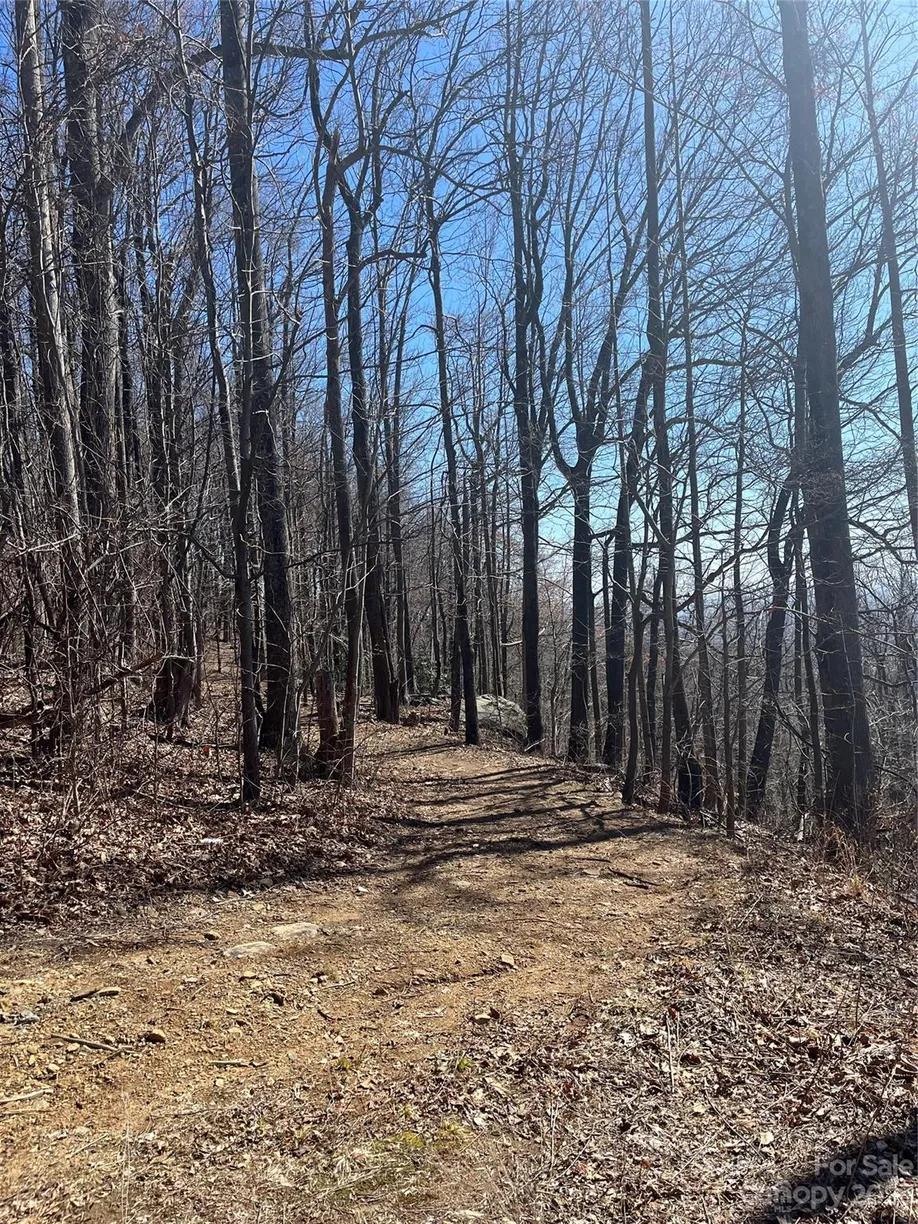 Charlotte Real Estate | View 999 Skyuka Mountain Road, Portion of Lot 9 | Listing