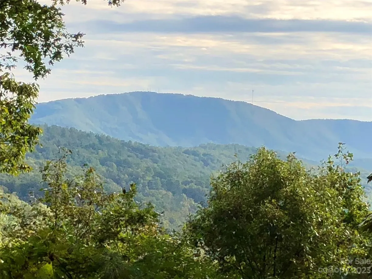 Charlotte Real Estate | View 216 BENT PINE Trace, 174