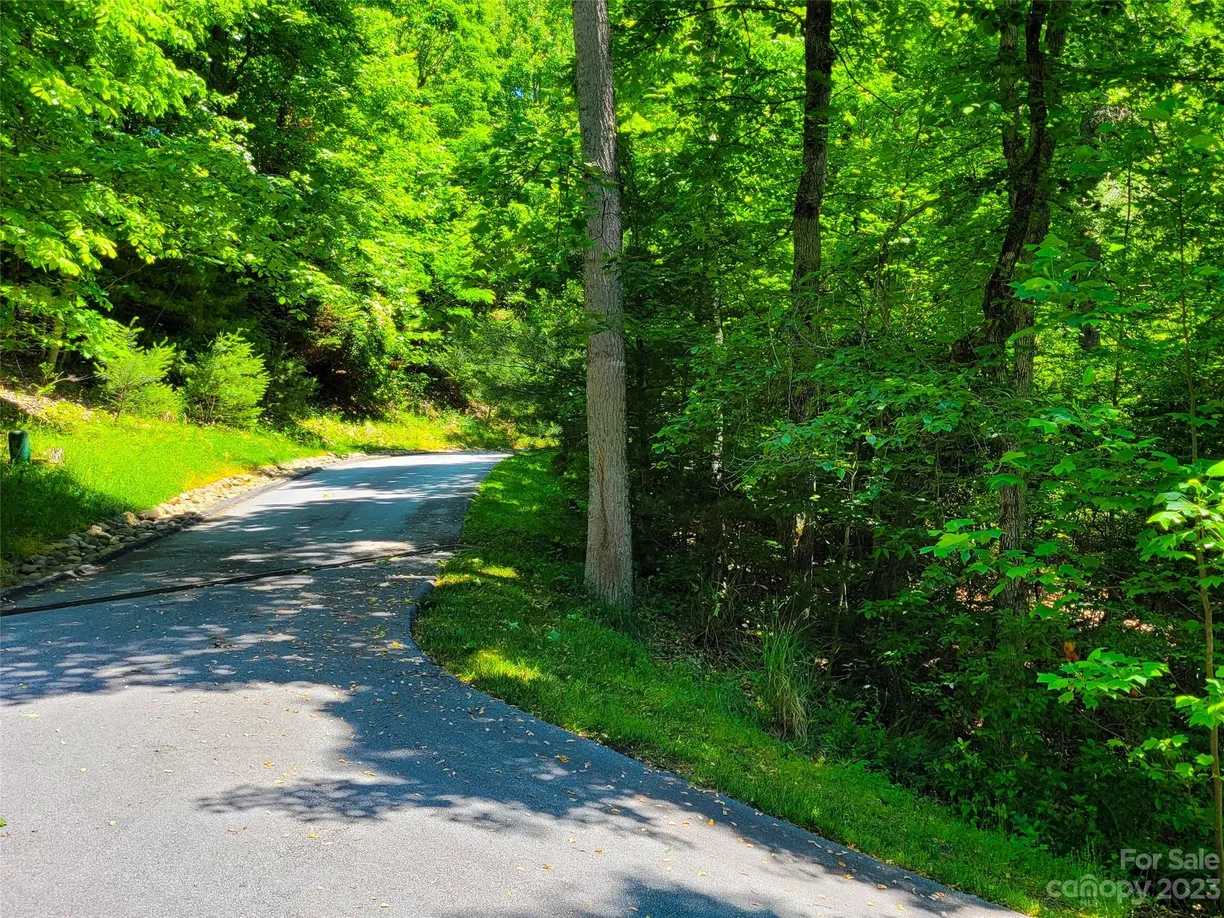 Charlotte Real Estate | View 216 BENT PINE Trace, 174 | Listing
