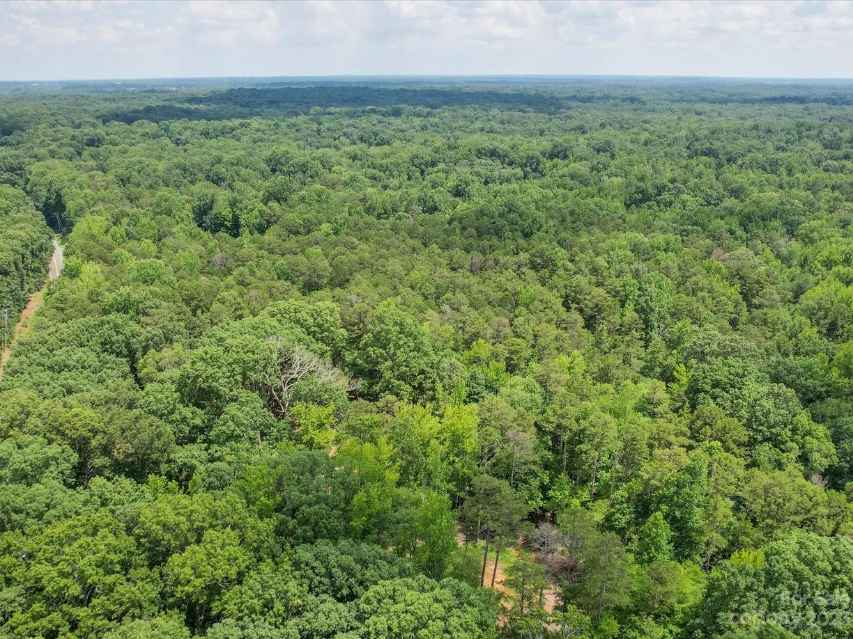 Charlotte Real Estate | View 3308 Forest Lawn Drive