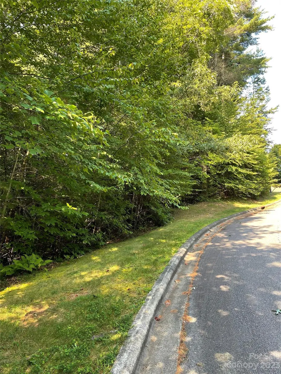 Charlotte Real Estate | View V48&49 Camptown Road, V48&49 | Listing