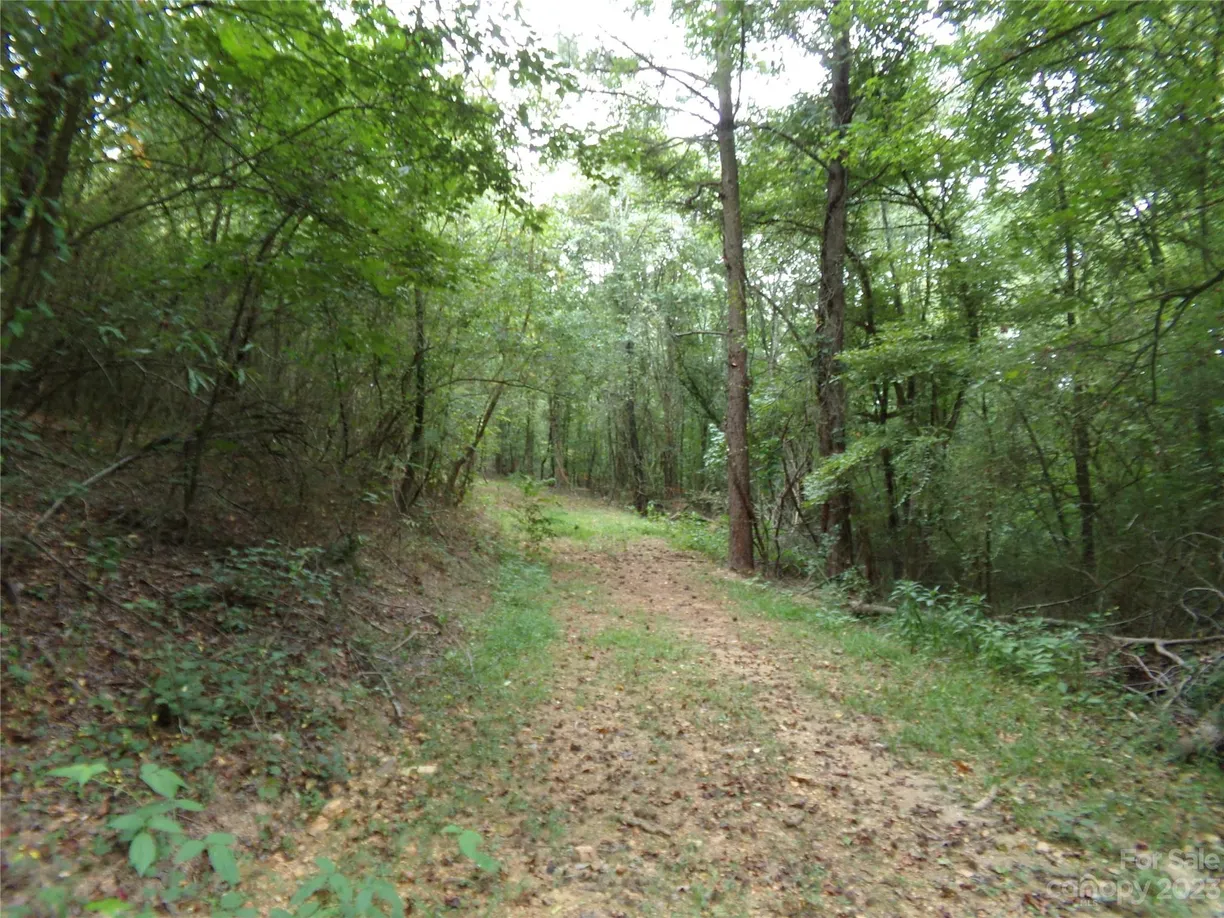 Charlotte Real Estate | View 000 Nc 138 Highway | Listing