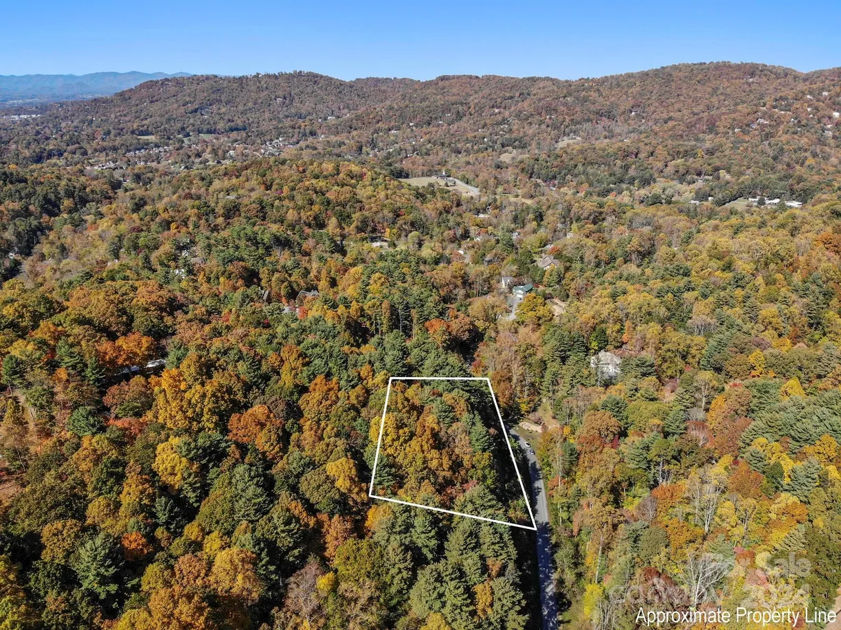 Charlotte Real Estate | View 78 Woodland Aster Way, 69 | Listing