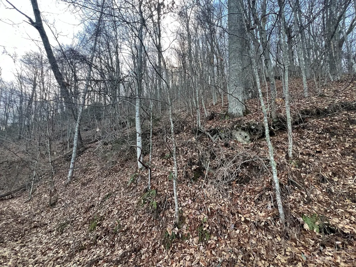 Charlotte Real Estate | View Lot 9 Buck Mountain Road, 9