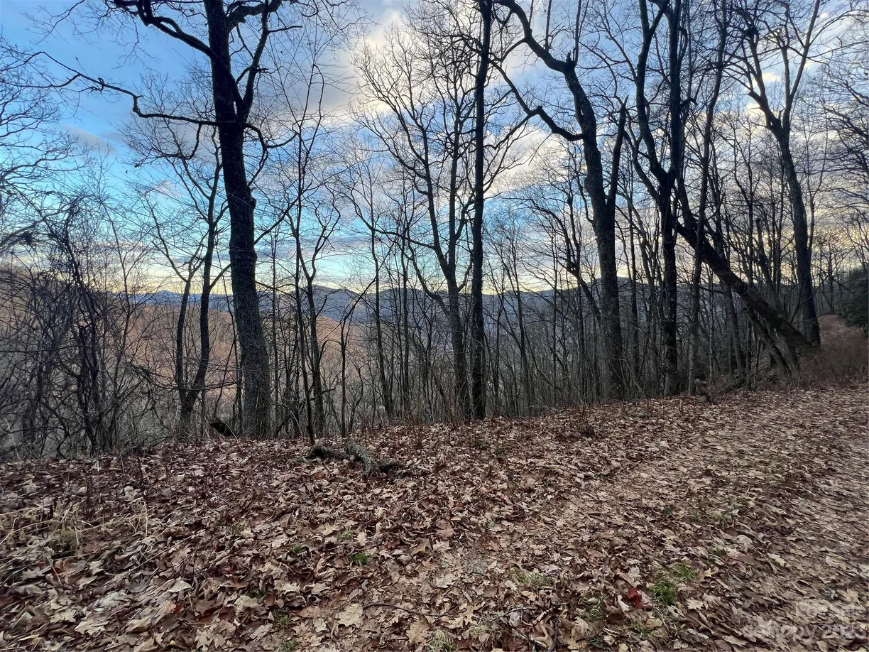 Charlotte Real Estate | View Lot 9 Buck Mountain Road, 9 | Listing