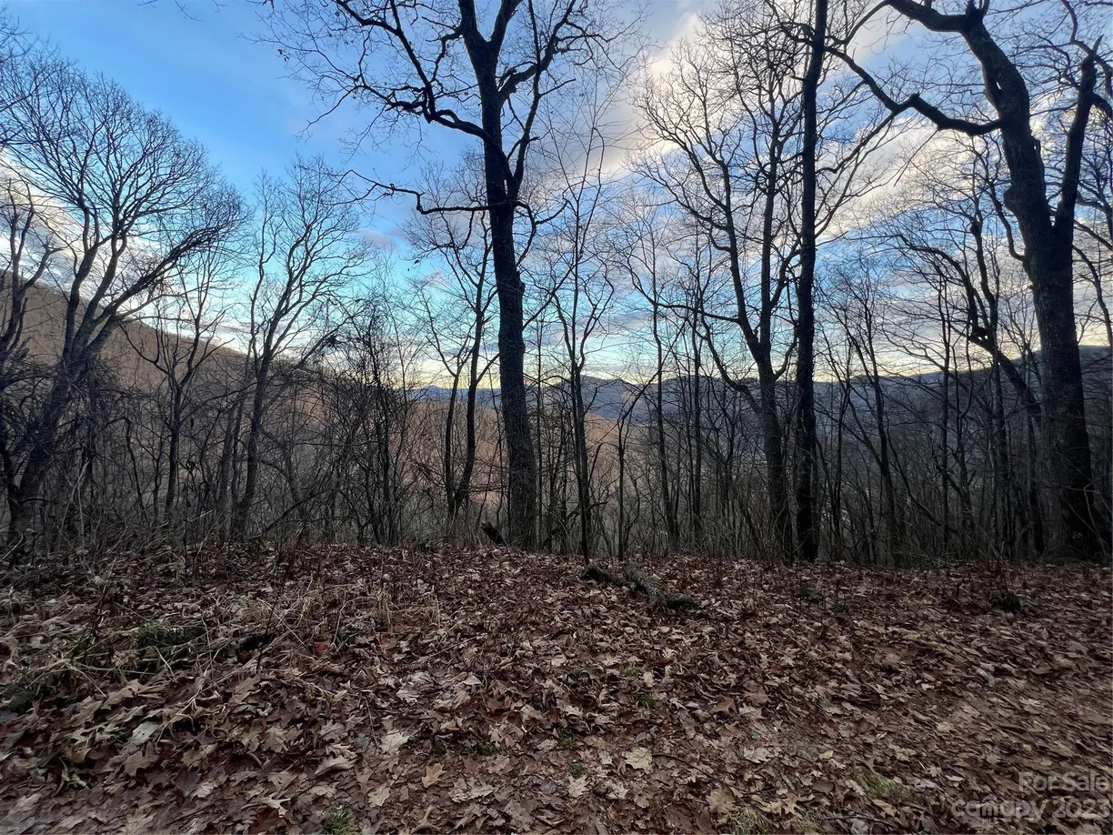 Charlotte Real Estate | View Lot 9 Buck Mountain Road, 9 | Listing