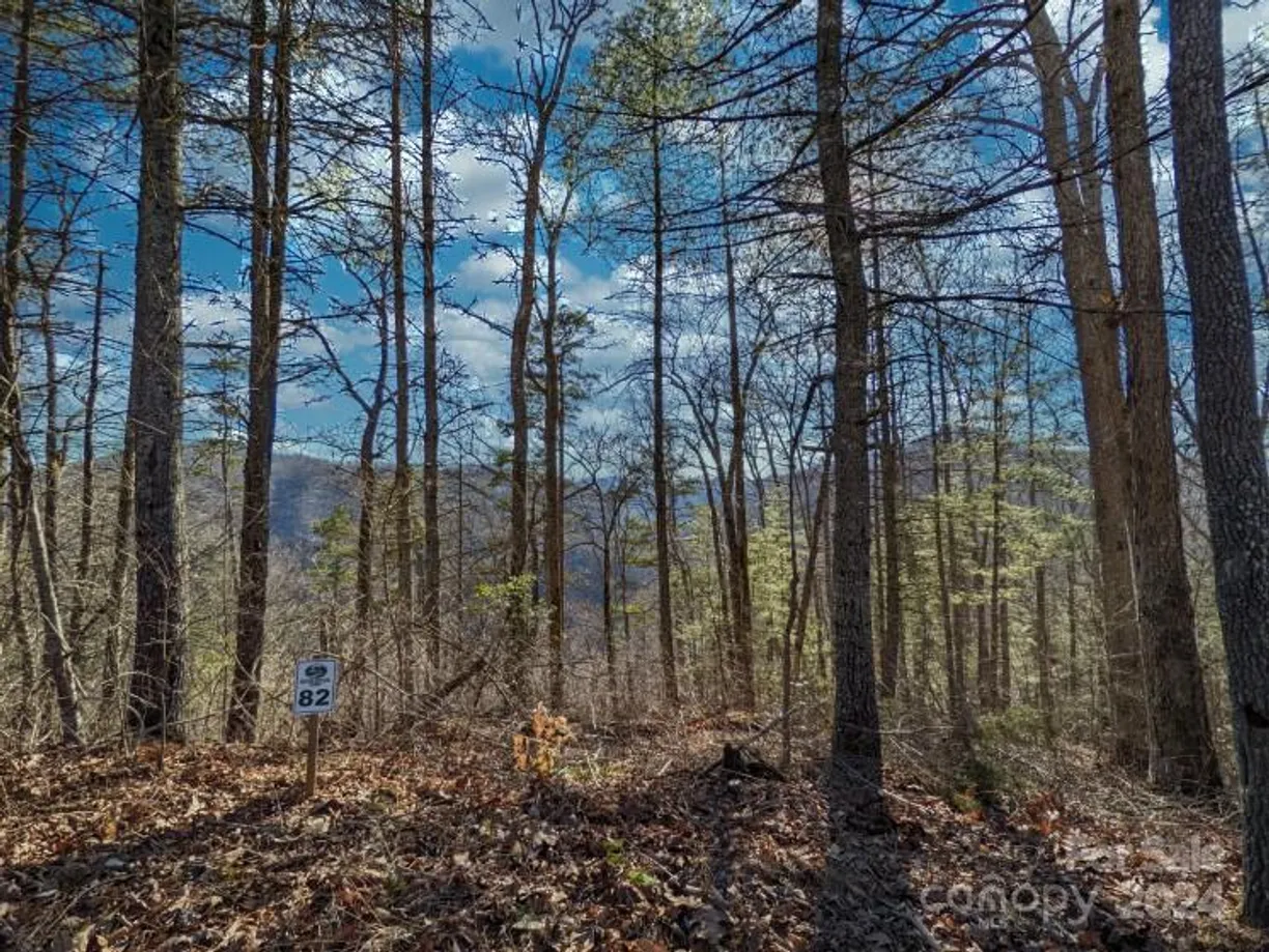 Charlotte Real Estate | View 82 Bear River Lodge Trail | Listing