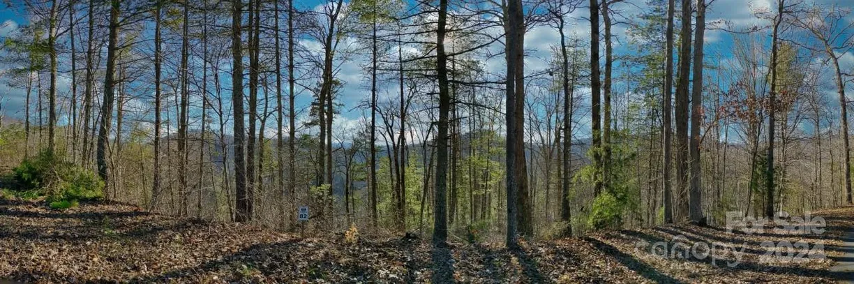 Charlotte Real Estate | View 82 Bear River Lodge Trail