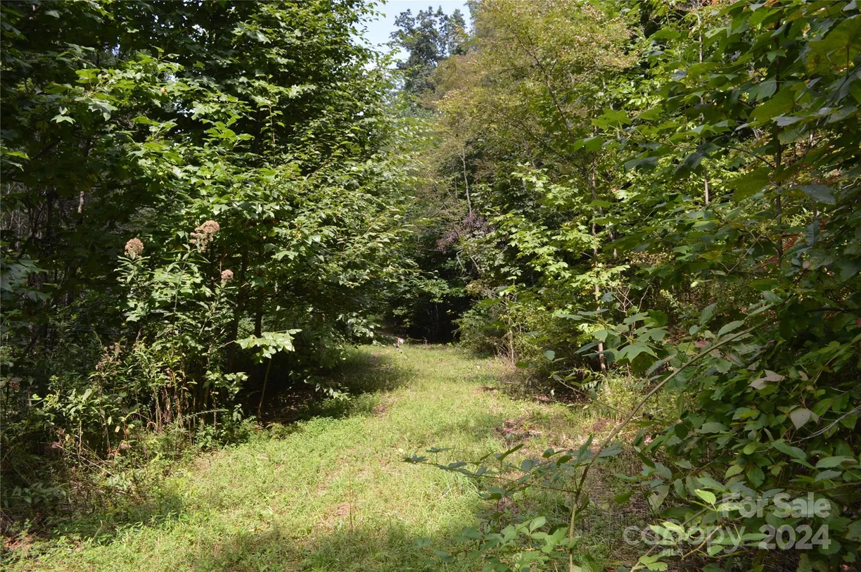 Charlotte Real Estate | View 9999 Still Spring Road | Listing