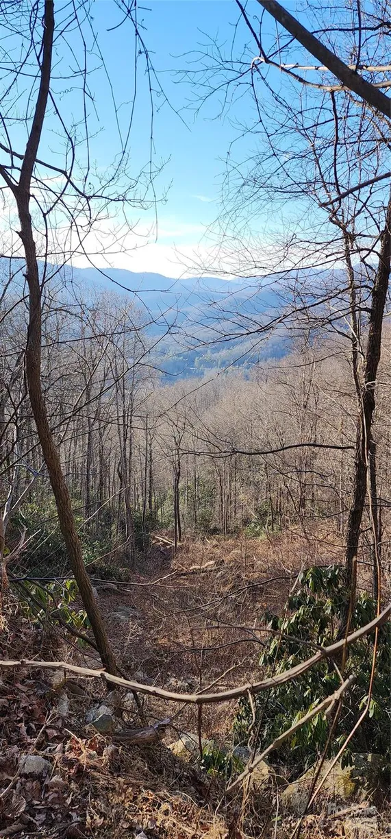 Charlotte Real Estate | View 9999 Still Spring Road | Listing