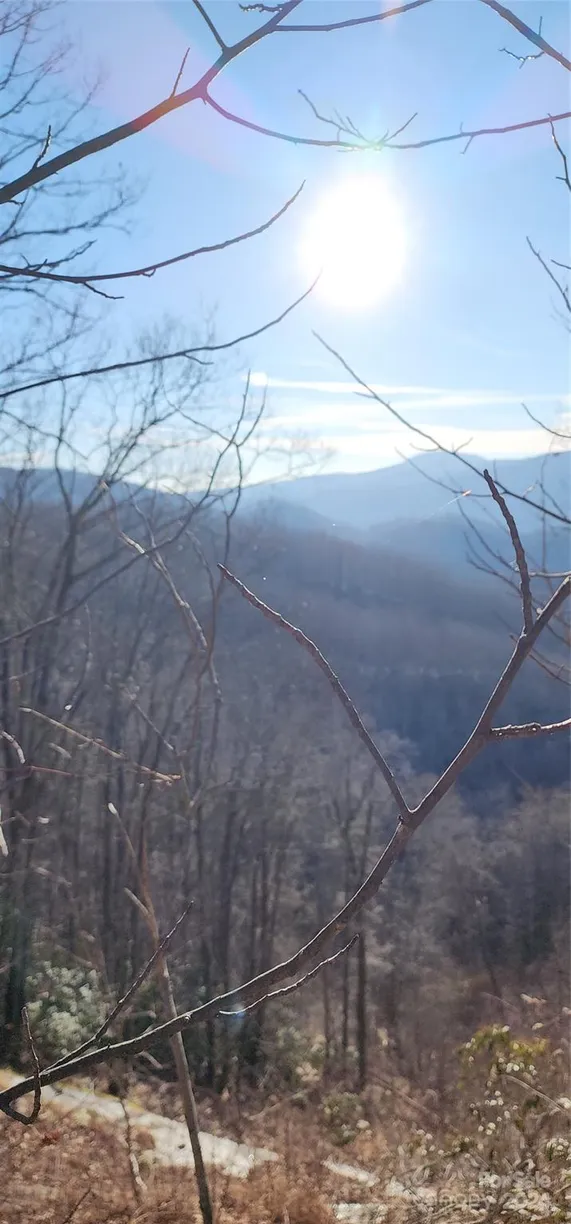 Charlotte Real Estate | View 9999 Still Spring Road, Lot 4 | Listing