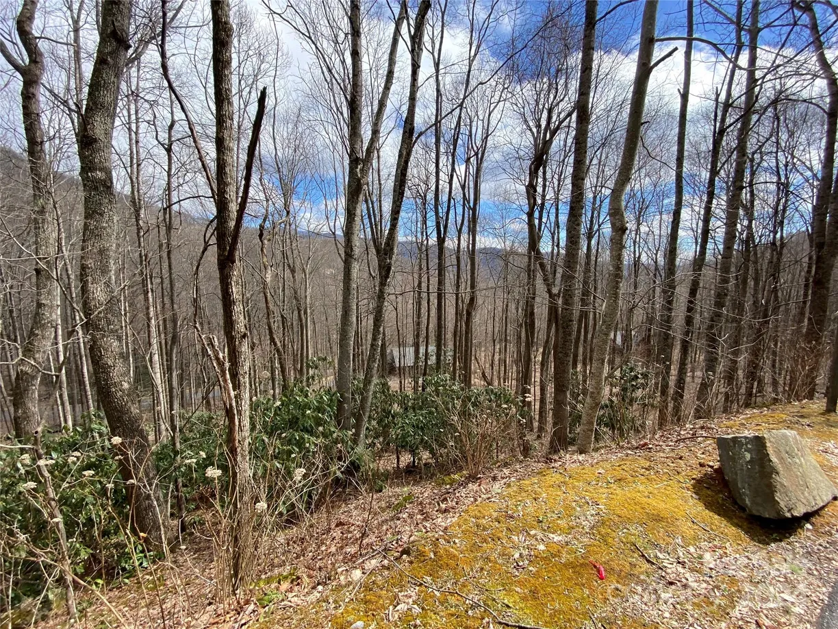 Charlotte Real Estate | View 55 Great Aspen Way, 211