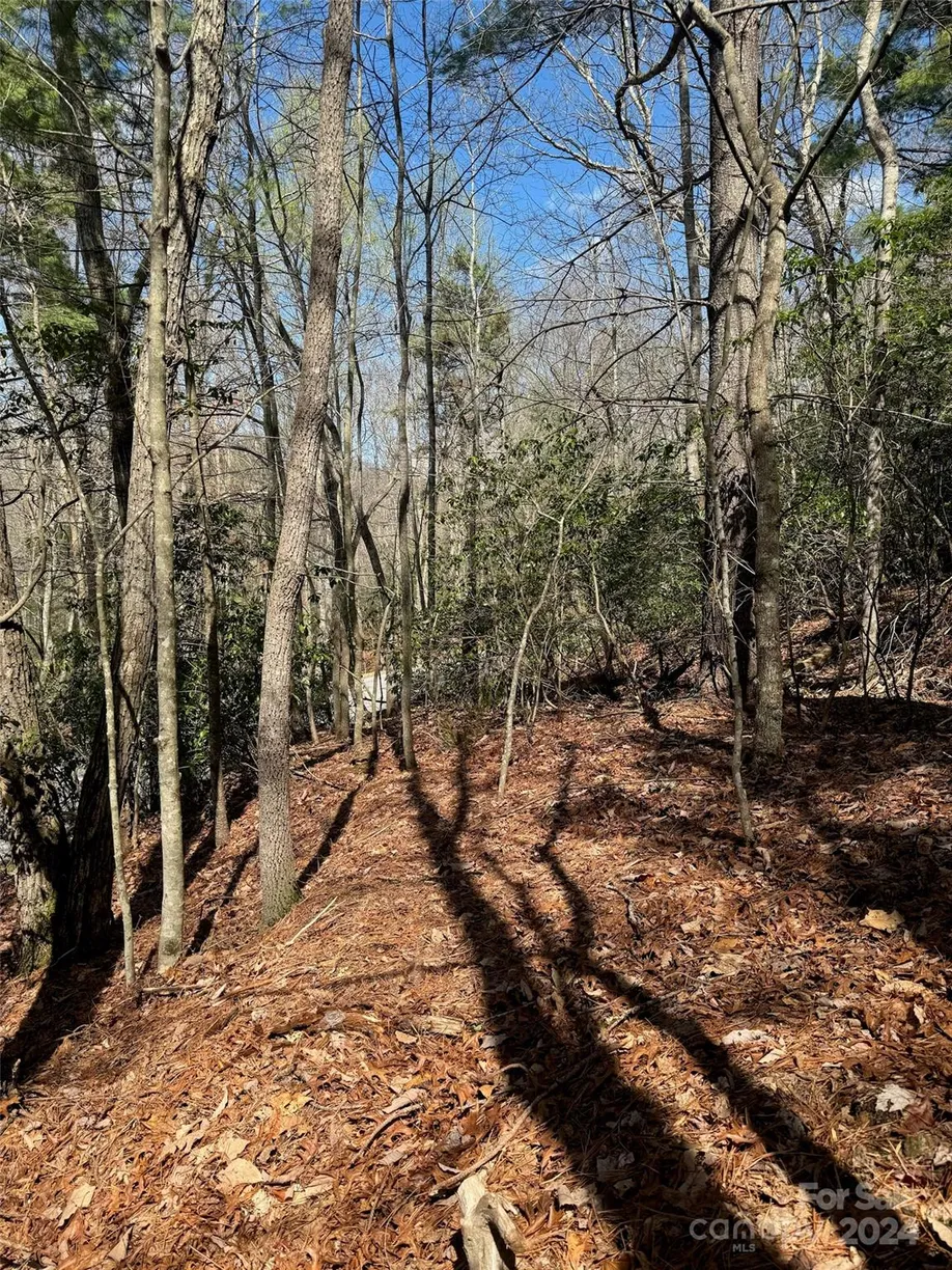 Charlotte Real Estate | View 23 Red Oak Drive | Listing