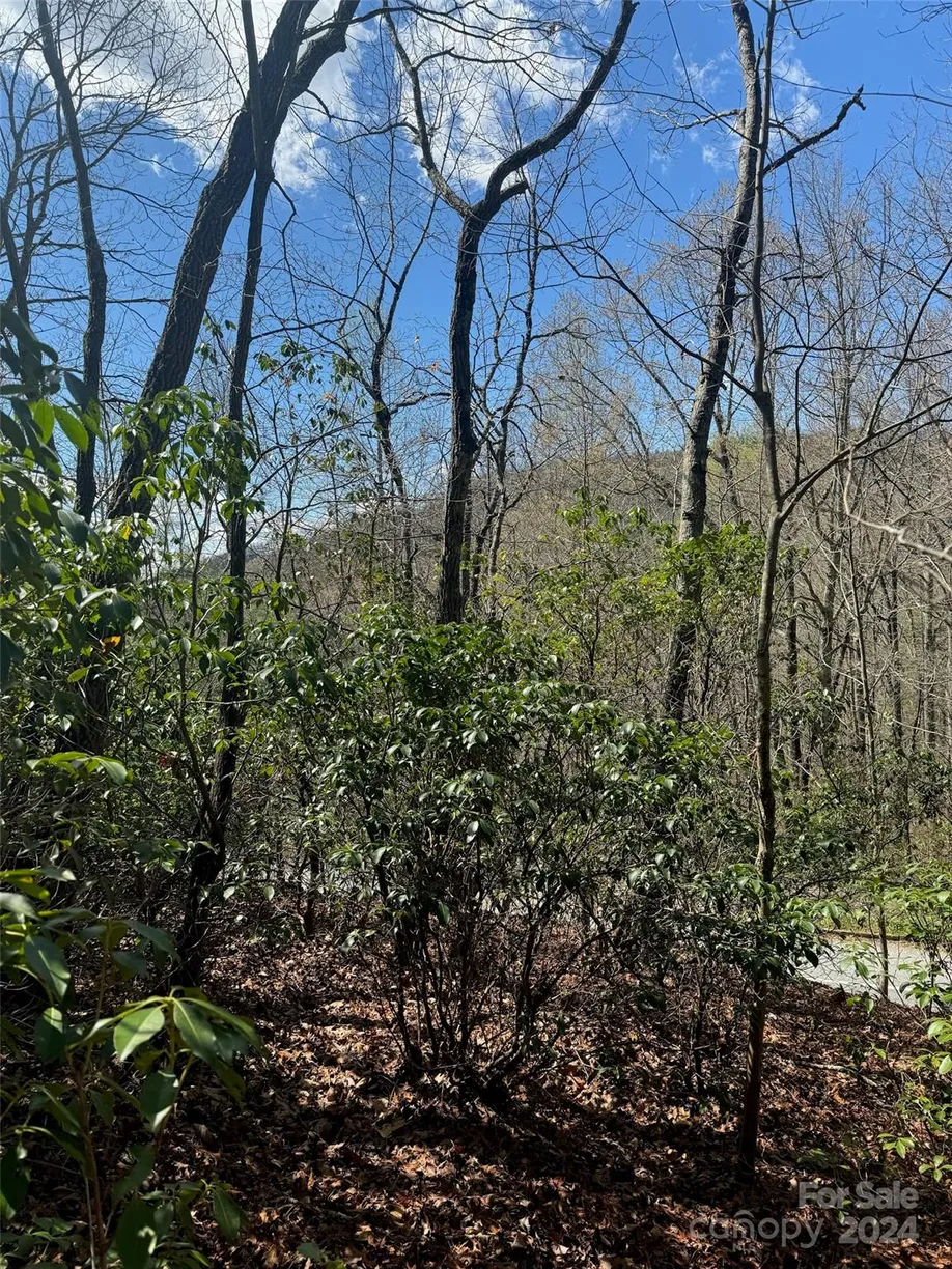 Charlotte Real Estate | View 23 Red Oak Drive