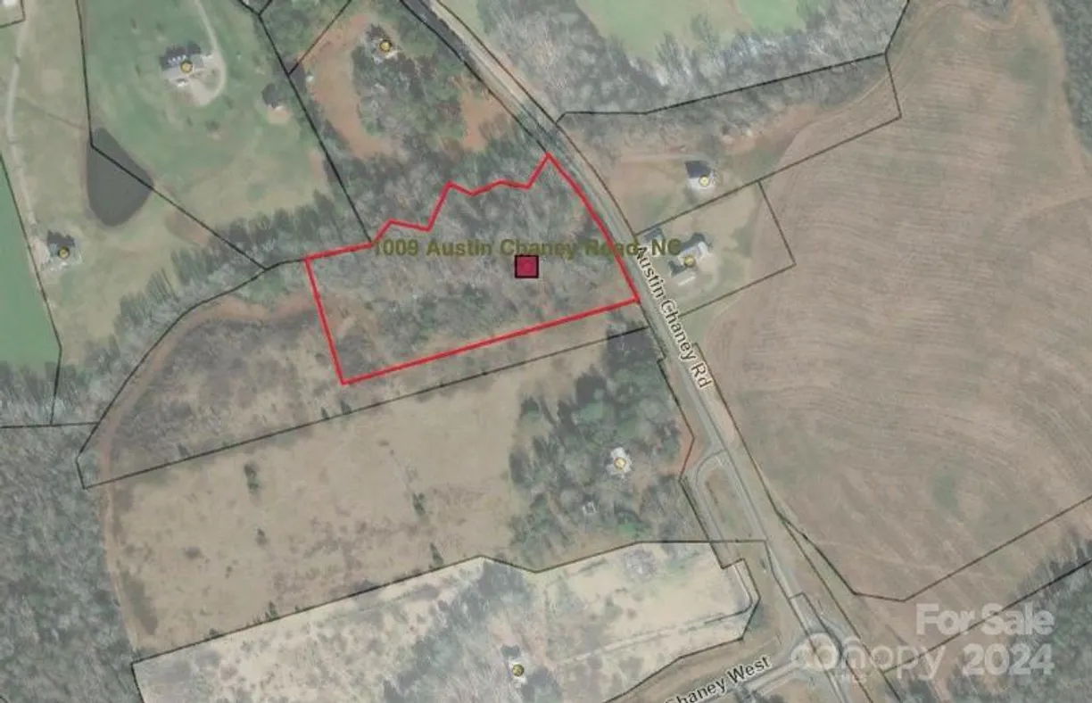 Charlotte Real Estate | View 1009 Austin Chaney Road