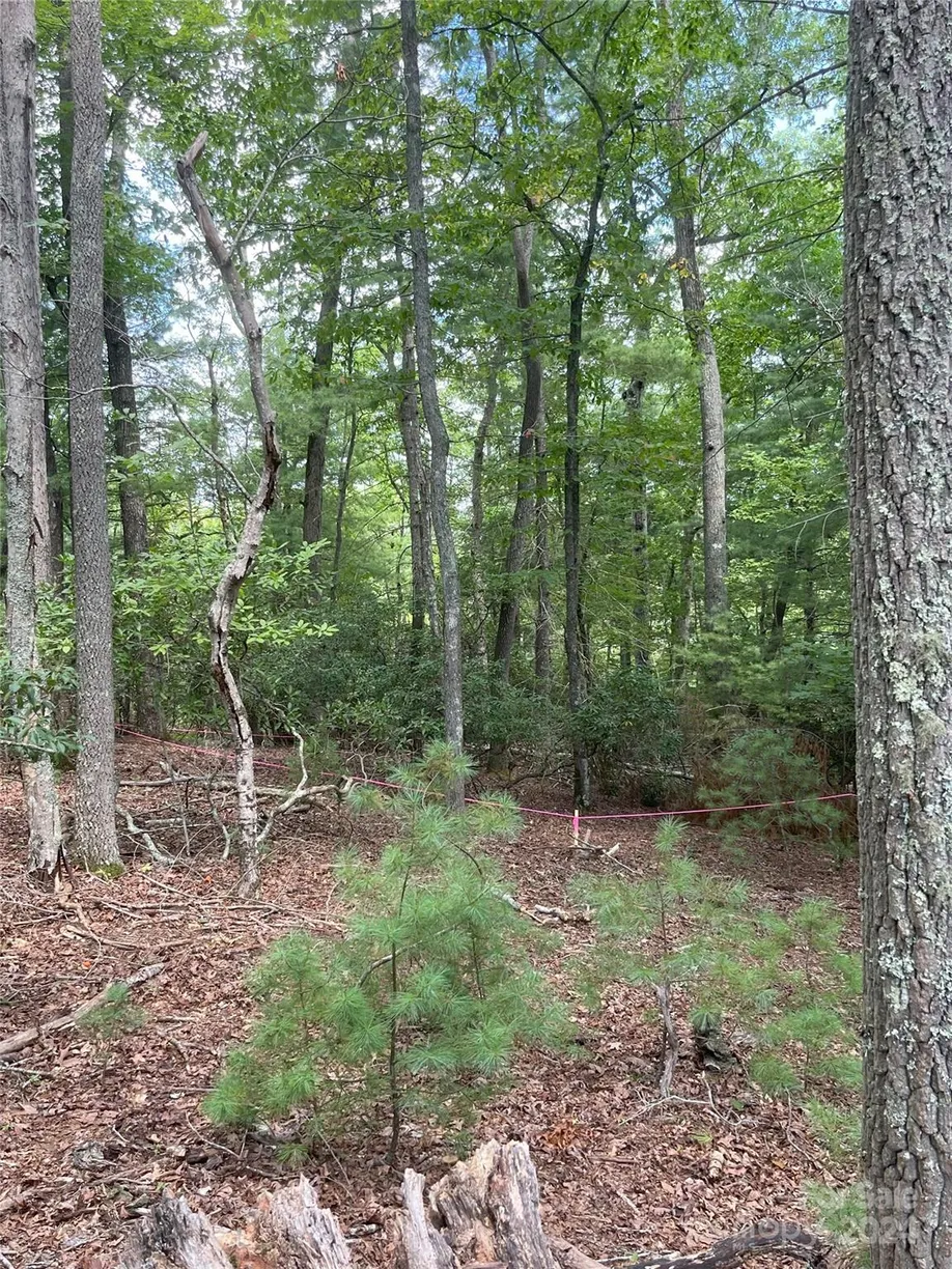 Charlotte Real Estate | View 9 French Broad Overlook, Lot 3 | Listing