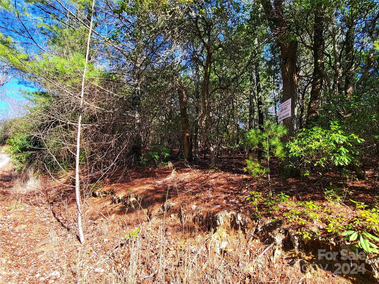 Charlotte Real Estate | View Lot D2 000 Dogwood Lane | Listing