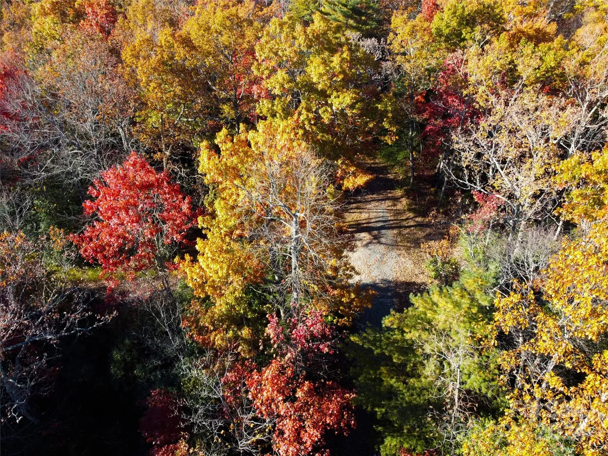 Charlotte Real Estate | View Lot D2 000 Dogwood Lane