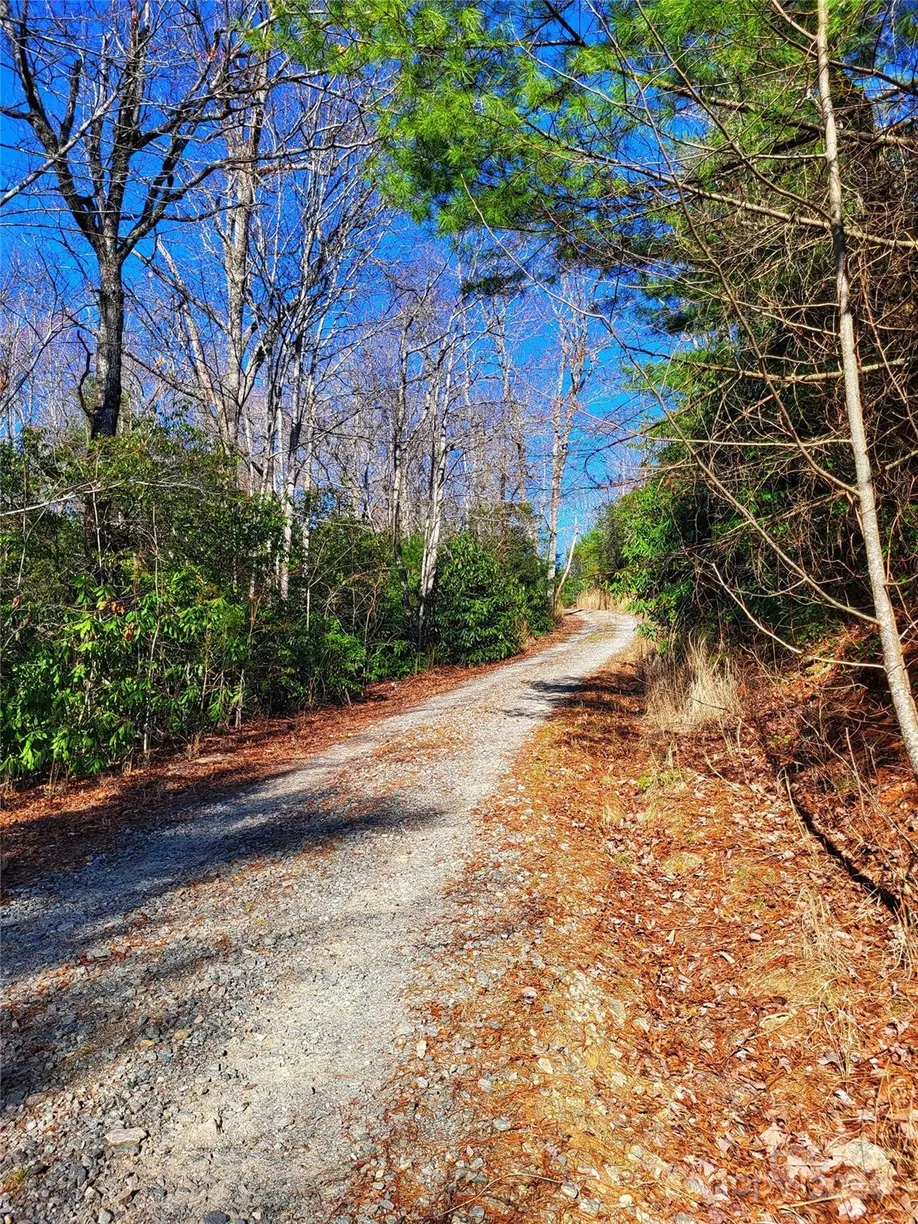 Charlotte Real Estate | View Lot D2 000 Dogwood Lane | Listing