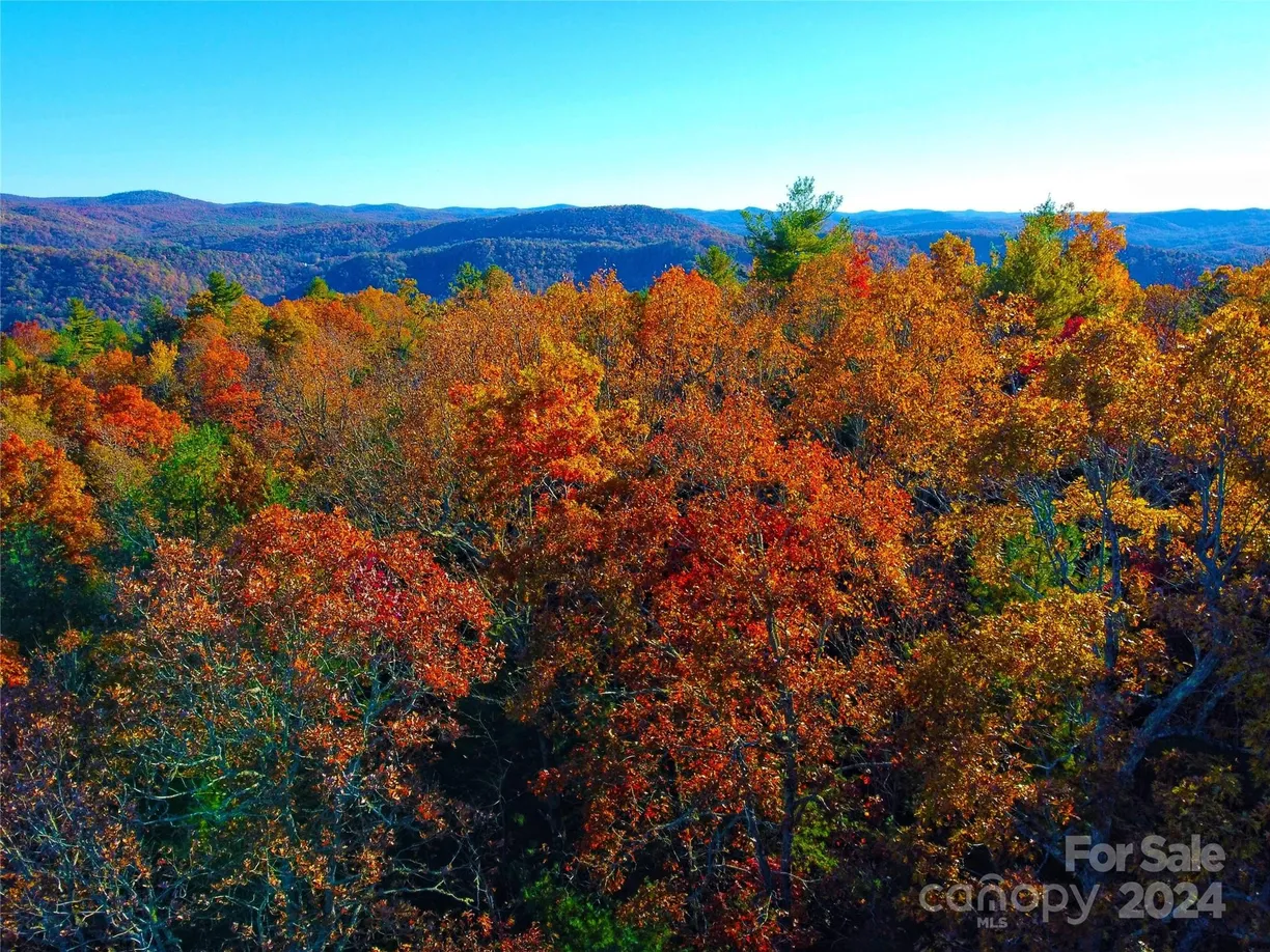 Charlotte Real Estate | View Lot D1 and D2 000 Dogwood Lane