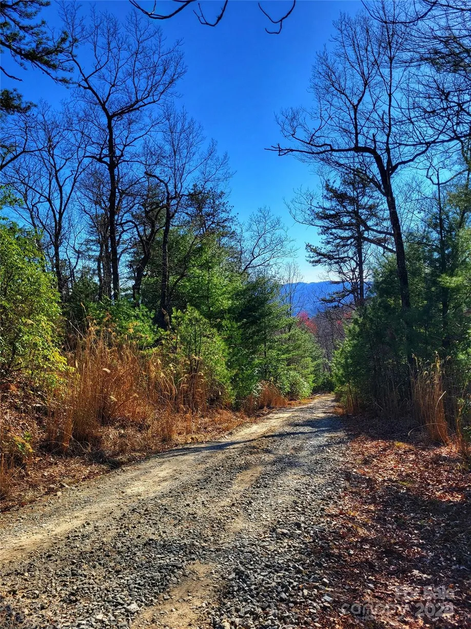 Charlotte Real Estate | View Lot D1 and D2 000 Dogwood Lane | Listing