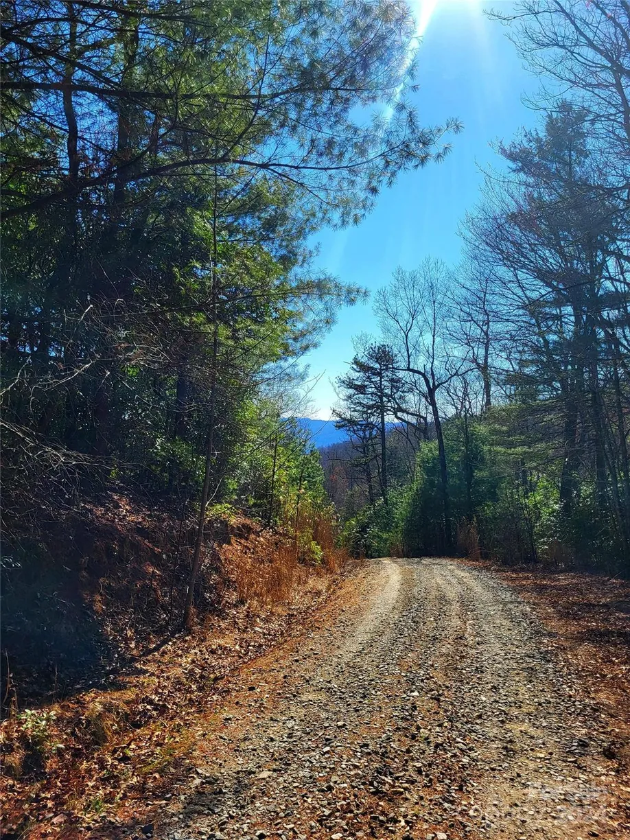 Charlotte Real Estate | View Lot D1 and D2 000 Dogwood Lane | Listing
