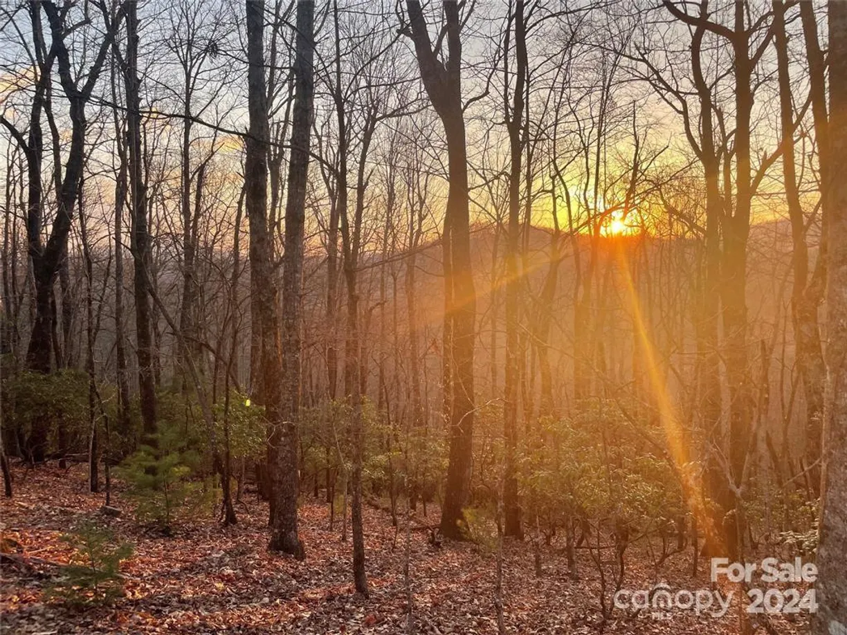 TBD Connestee Trail #431/2, Brevard, NC 28712 Property for sale