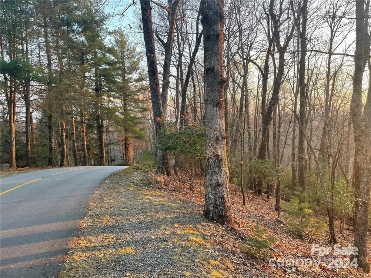 Charlotte Real Estate | View TBD Connestee Trail | Listing