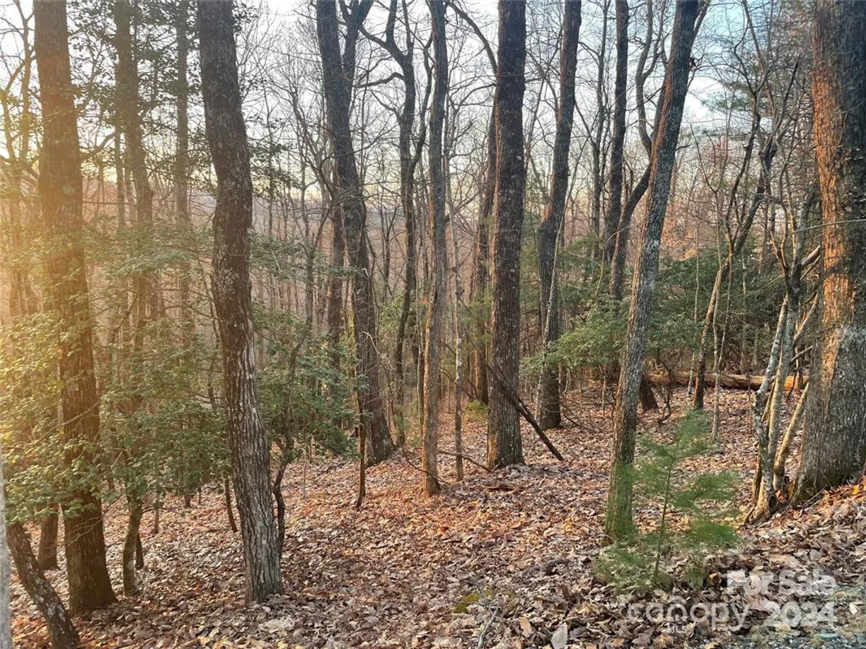 Charlotte Real Estate | View TBD Connestee Trail | Listing